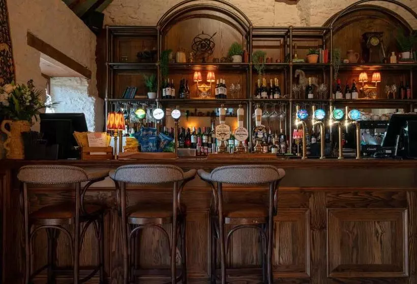 Fotos del hotel The George Inn & Plaine:  3