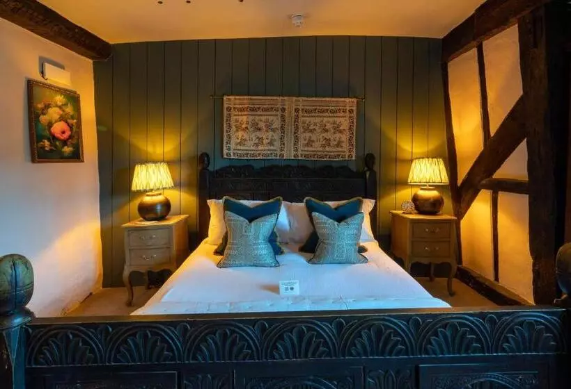 Fotos del hotel The George Inn & Plaine:  17