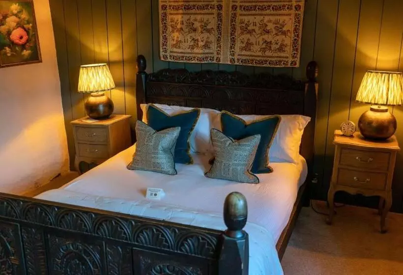 Fotos del hotel The George Inn & Plaine:  21