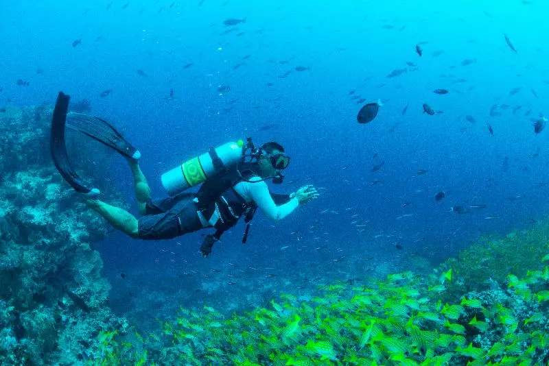 Fotos del hotel Maafushivaru Island Resort:  6