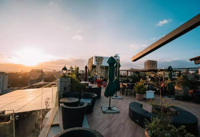 Fotos del hotel Monarch:  9