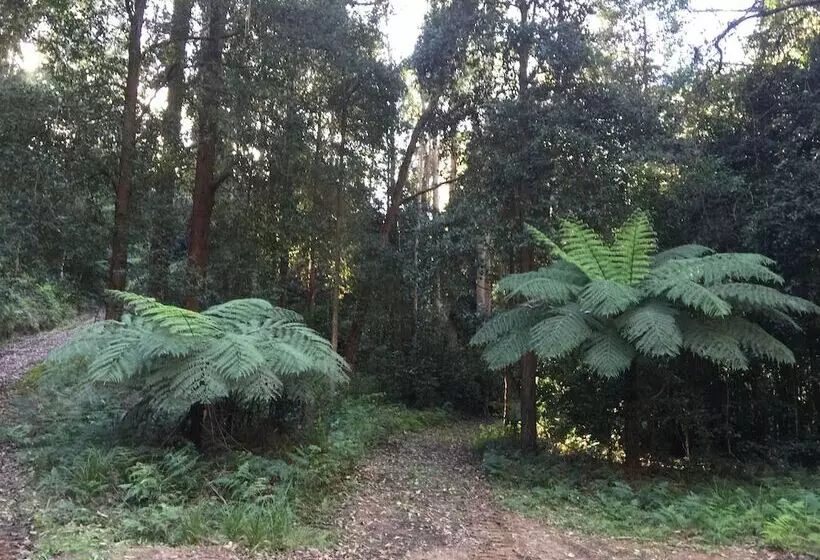 Fotos del hotel Sinclairs Country Retreat:  12