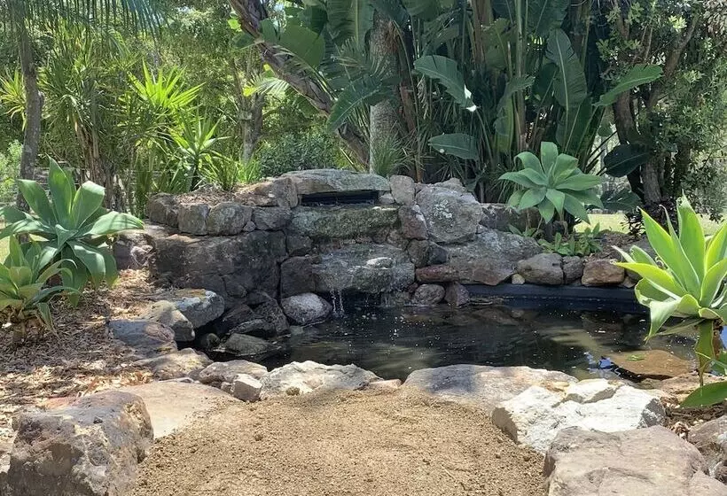 Fotos del hotel Sinclairs Country Retreat:  20