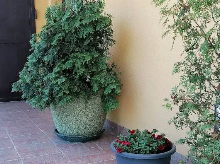 Fotos del hotel Arko:  10