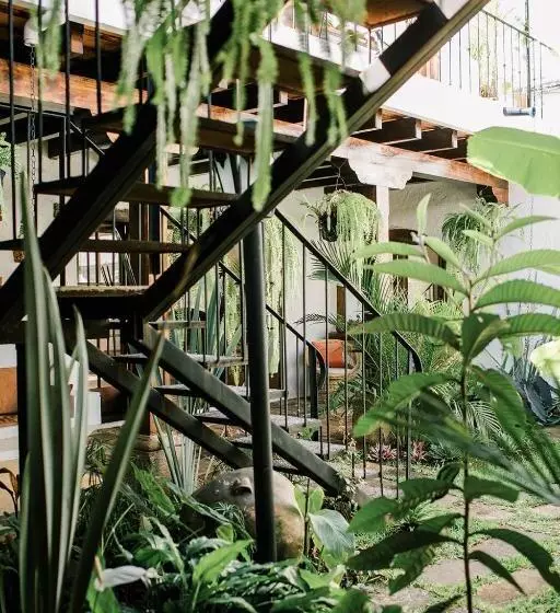 Fotos del hotel Cacao Boutique Hotel:  3