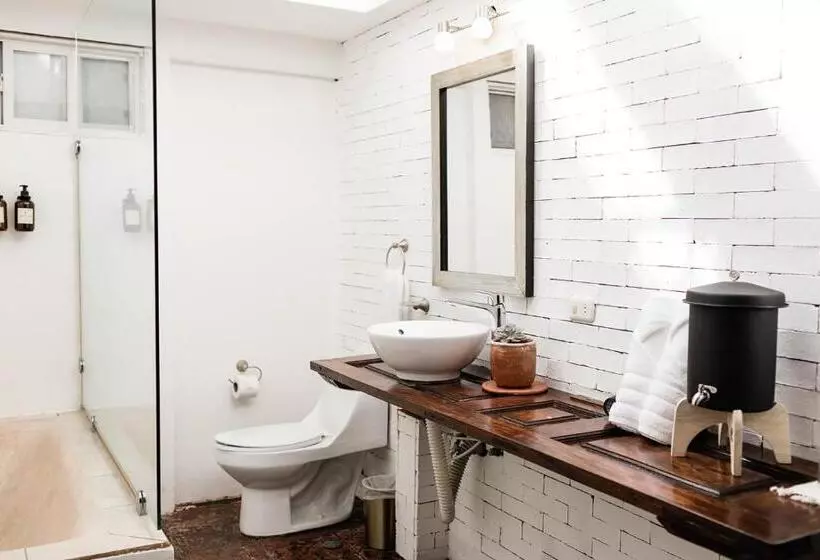 Fotos del hotel Cacao Boutique Hotel:  7