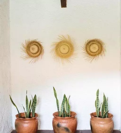 Fotos del hotel Cacao Boutique Hotel:  17