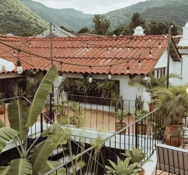 Fotos del hotel Cacao Boutique Hotel:  23