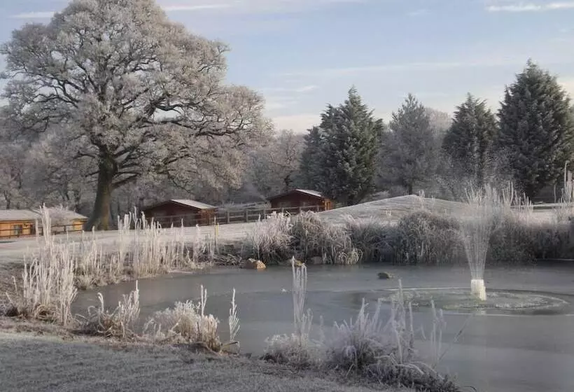 Fotos del hotel Fingle Glen Golf:  9