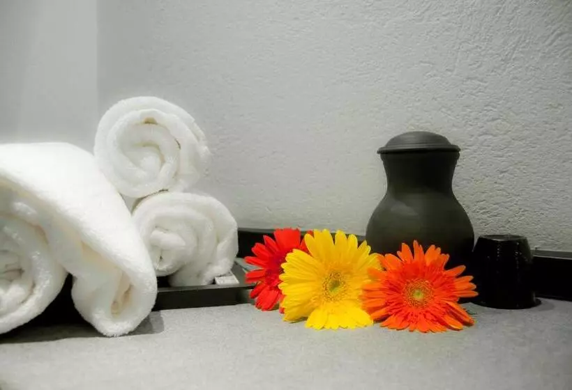 Fotos del hotel Liwa The Transit:  18