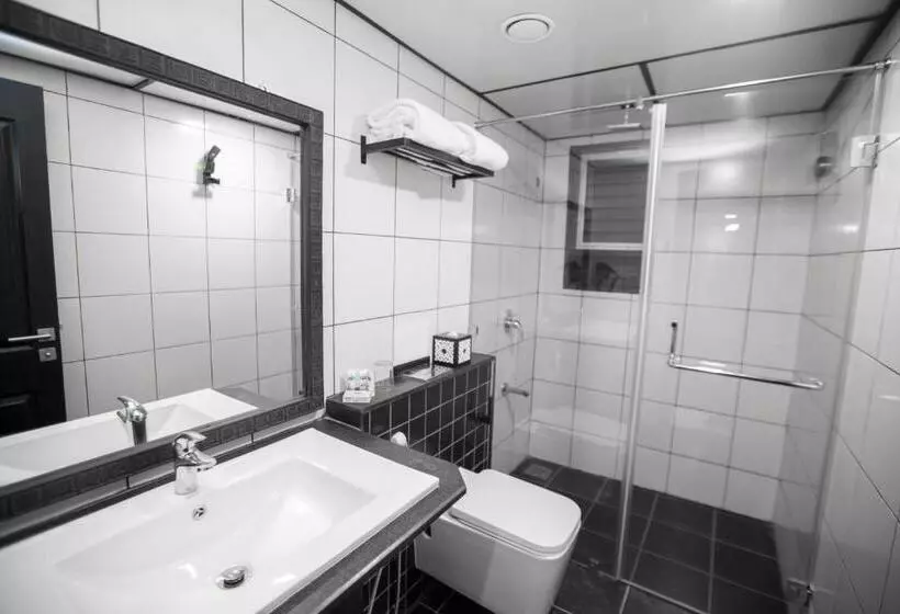 Fotos del hotel Liwa The Transit:  6