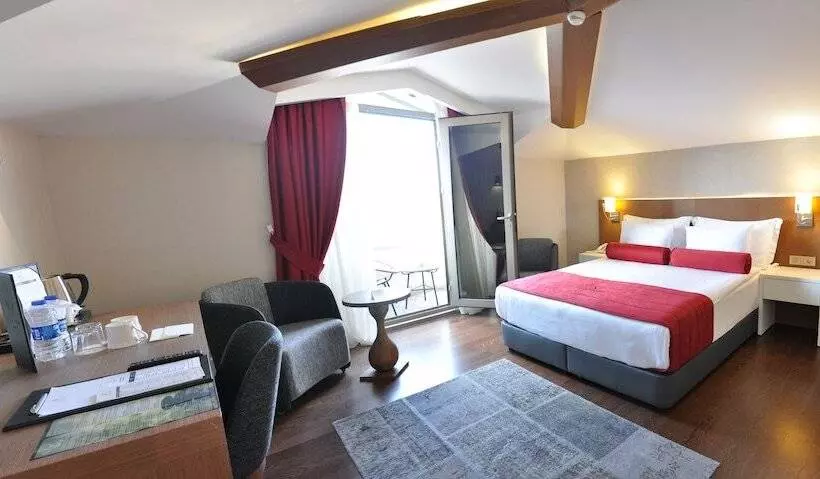 Fotos del hotel Veyron S & Spa:  18