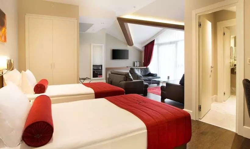 Fotos del hotel Veyron S & Spa:  19