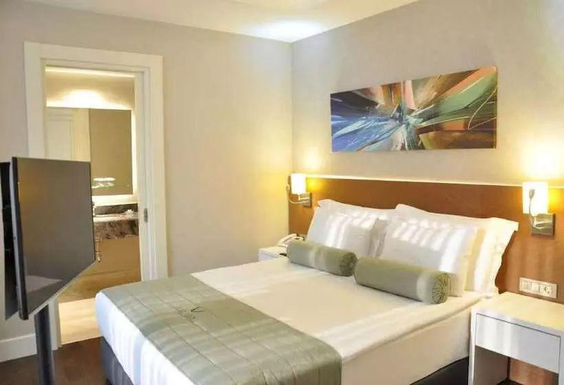 Fotos del hotel Veyron S & Spa:  10