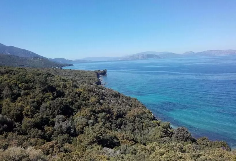 Fotos del hotel Art:  9