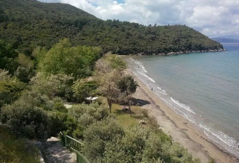 Fotos del hotel Art:  15