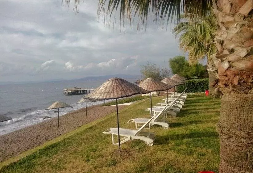 Fotos del hotel Art:  21