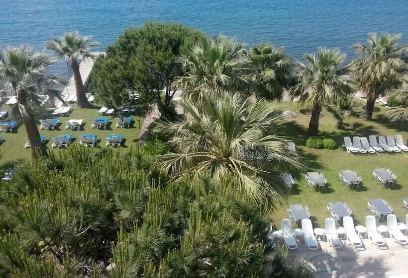 Fotos del hotel Art:  19