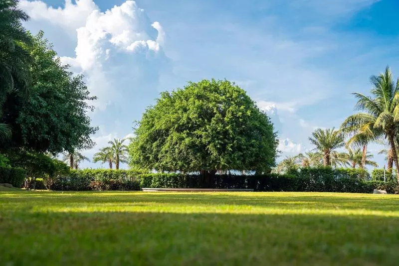 Fotos del hotel Haikou Marriott:  21