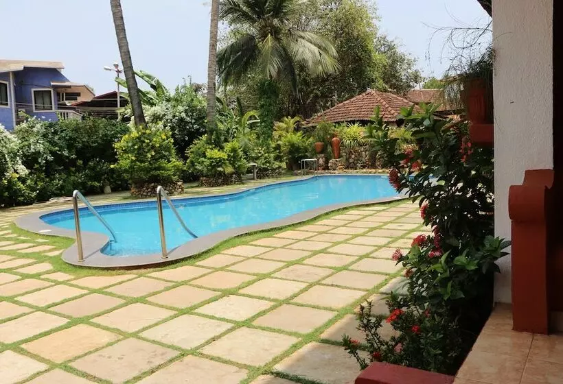 Fotos del hotel Kingstork Beach Resort:  14