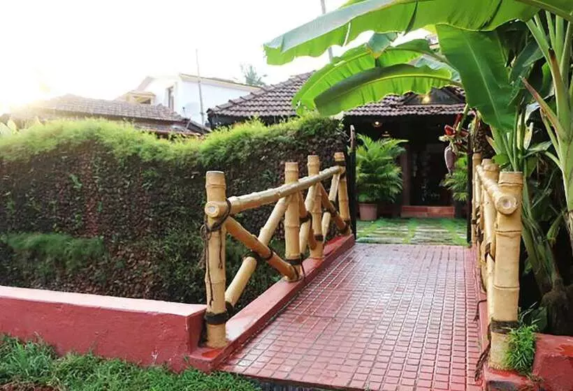 Fotos del hotel Kingstork Beach Resort:  16