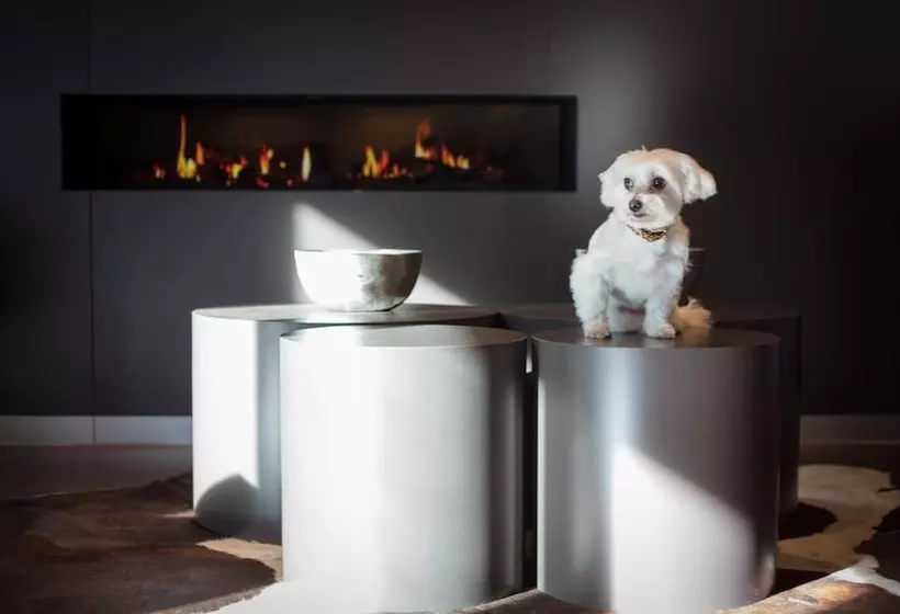 Fotos del hotel Relexa  München:  15