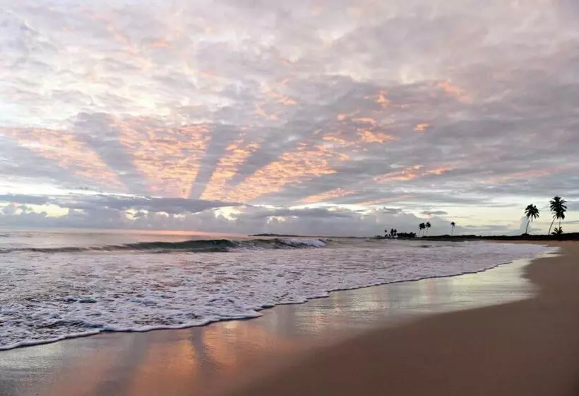 Fotos del hotel Royalton Chic Punta Cana Resort & Spa  Adults Only  All Inclusive:  7