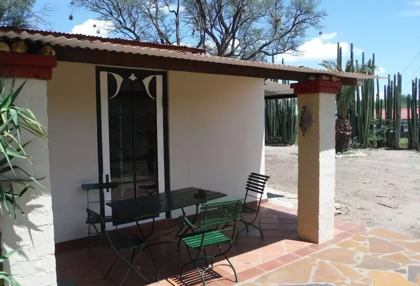 Fotos del hotel Düsternbrook Safari Guest Farm:  4