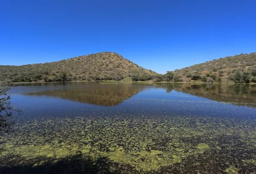 Fotos del hotel Düsternbrook Safari Guest Farm:  23