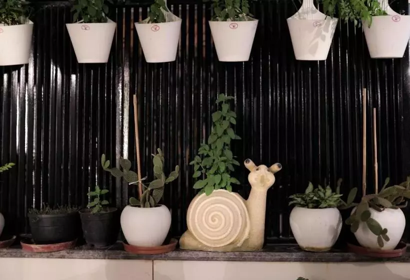 Fotos del hotel Stay Well Dx:  6