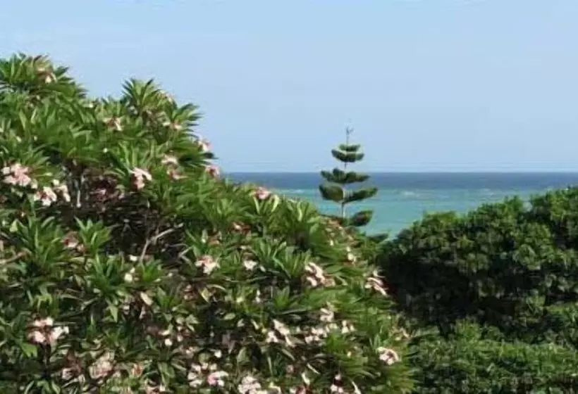 Fotos del hotel Tijara Beach  All Inclusive:  3