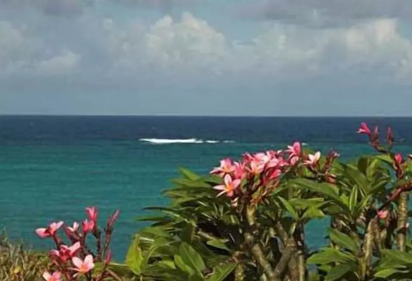 Fotos del hotel Tijara Beach  All Inclusive:  6