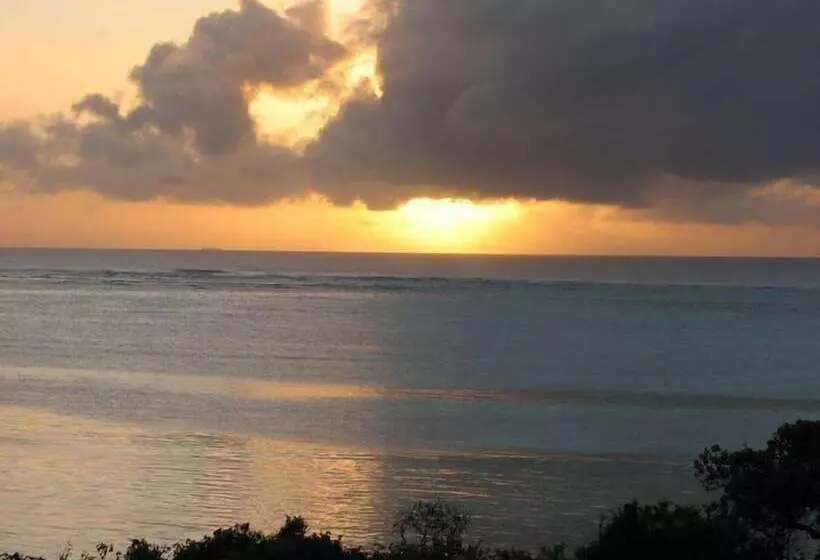 Fotos del hotel Tijara Beach  All Inclusive:  8