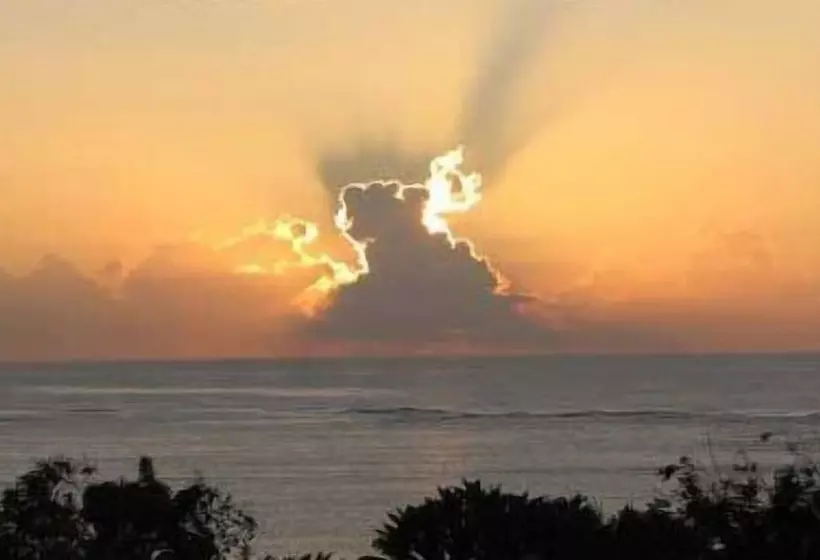 Fotos del hotel Tijara Beach  All Inclusive:  11