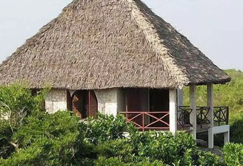 Fotos del hotel Tijara Beach  All Inclusive:  15