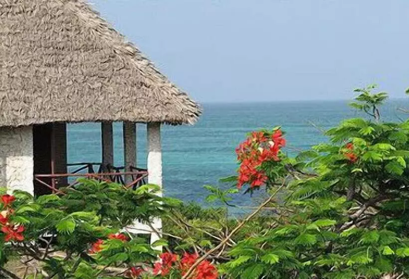 Fotos del hotel Tijara Beach  All Inclusive:  14