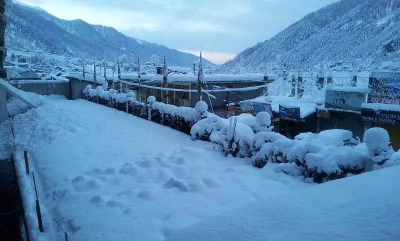 Fotos del hotel Honeymoon Inn Manali:  17