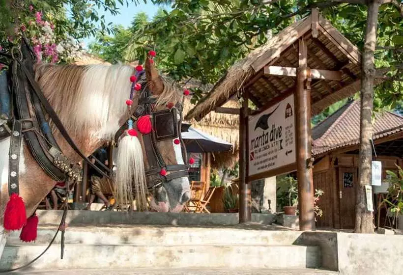 Fotos del hotel Manta Dive Resort Gili Air:  15