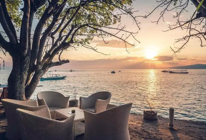 Fotos del hotel Manta Dive Resort Gili Air:  23
