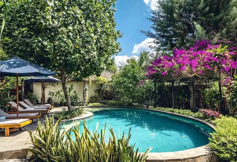 Fotos del hotel Manta Dive Resort Gili Air:  7