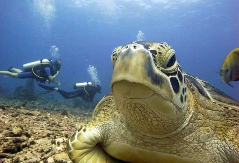 Fotos del hotel Manta Dive Resort Gili Air:  18