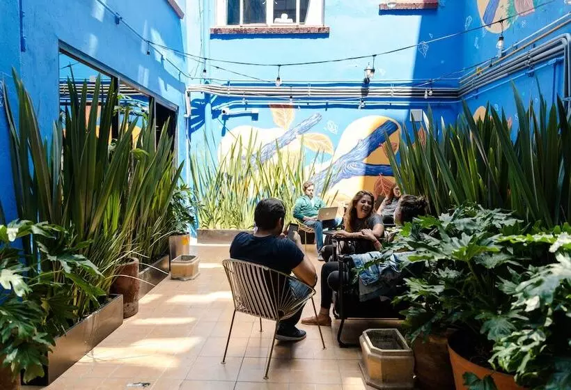 Fotos del hotel Selina Mexico City Downtown:  33