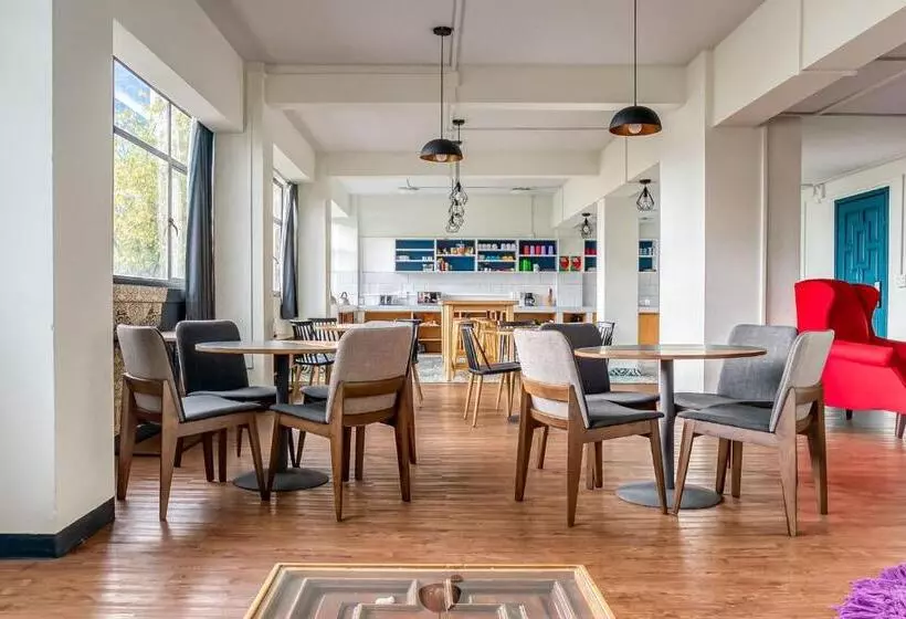 Fotos del hotel Selina Mexico City Downtown:  29