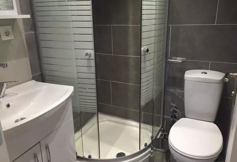 Fotos del hotel Ata?ehir Palace:  7