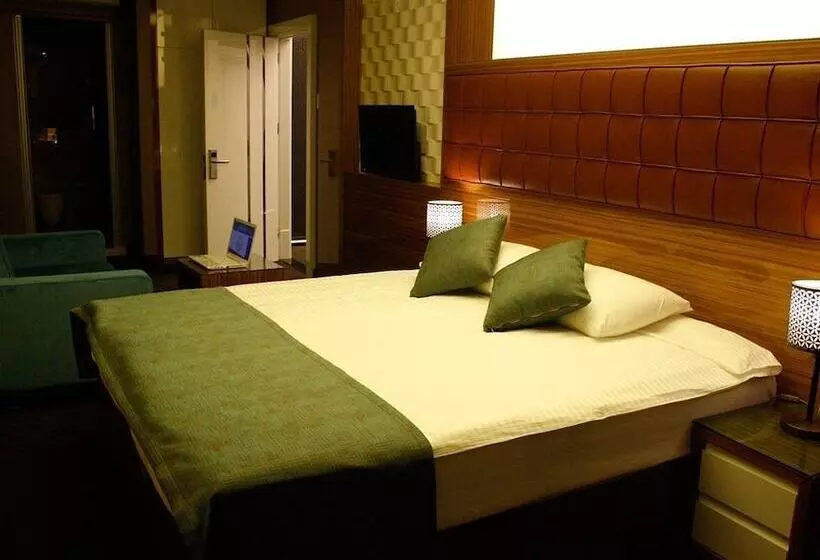 Fotos del hotel Ata?ehir Palace:  21