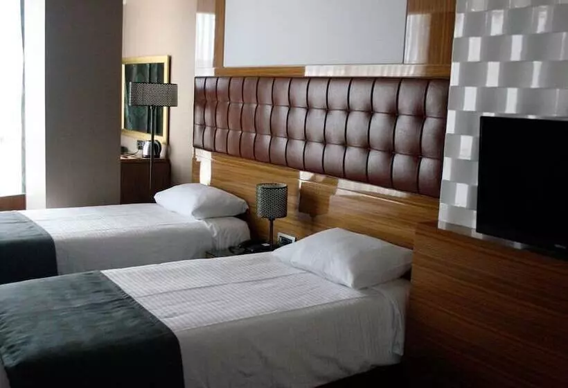 Fotos del hotel Ata?ehir Palace:  14