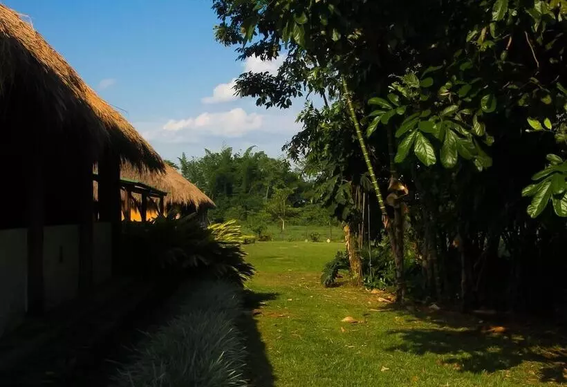 Fotos del hotel Cinaruco Caney:  13