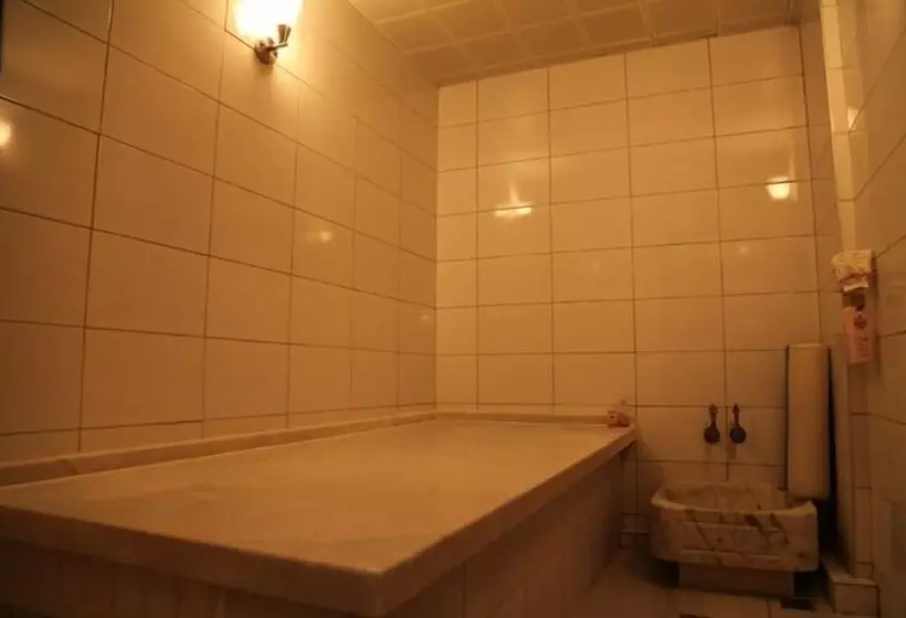 Fotos del hotel Grand Ocakoglu:  8