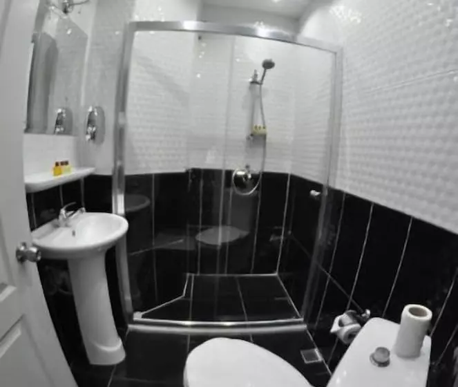 Fotos del hotel Grand Ocakoglu:  10