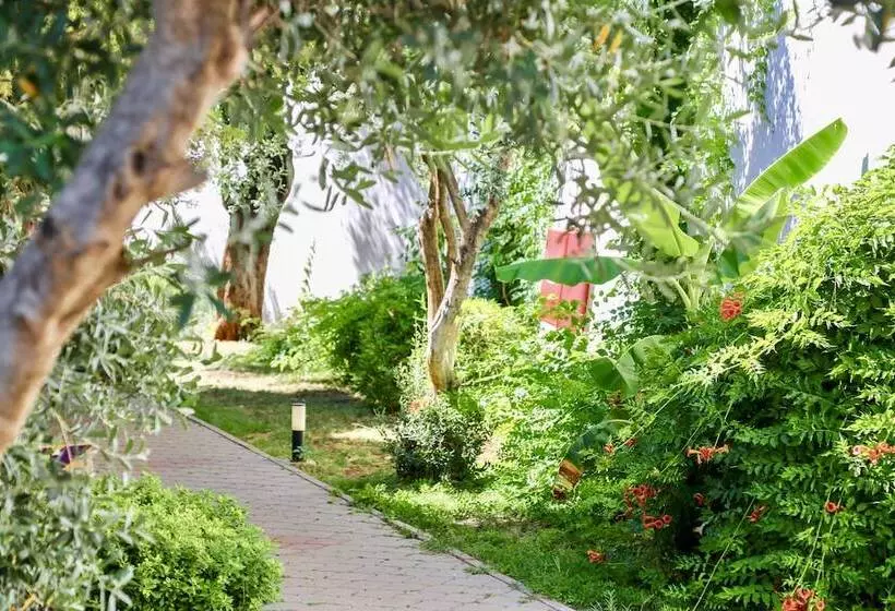 Fotos del hotel Sertil Deluxe  & Spa  Adult Only:  5